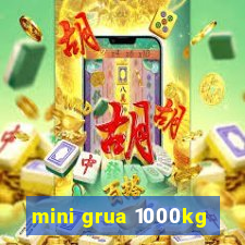 mini grua 1000kg